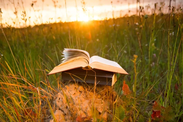 Arka plan bulanık fanlanan sayfalarında ciltli kitap günlüğü açıldı