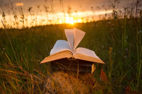 Arka plan bulanık fanlanan sayfalarında ciltli kitap günlüğü açıldı