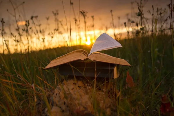 Opene hardback book diary with fanned pages on blurred background — Stock Photo, Image