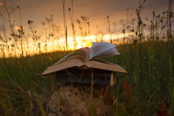 Arka plan bulanık fanlanan sayfalarında ciltli kitap günlüğü açıldı