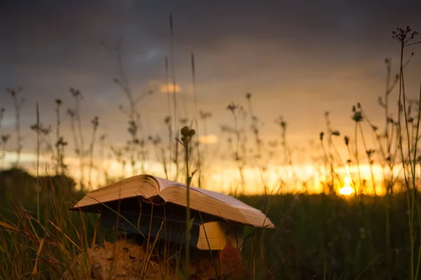 Opened hardback book diary with fanned pages on blurred background — Stock Photo, Image