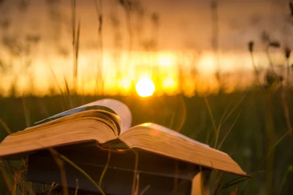 Geöffnetes gebundenes Buchtagebuch mit aufgefächerten Seiten auf verschwommenem Hintergrund — Stockfoto