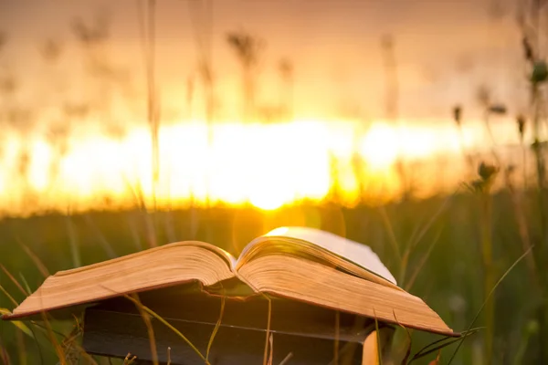 Geöffnetes gebundenes Buchtagebuch mit aufgefächerten Seiten auf verschwommenem Hintergrund — Stockfoto