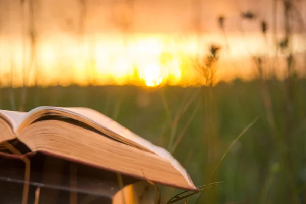 Geöffnetes gebundenes Buchtagebuch mit aufgefächerten Seiten gegen Sonnenuntergang — Stockfoto