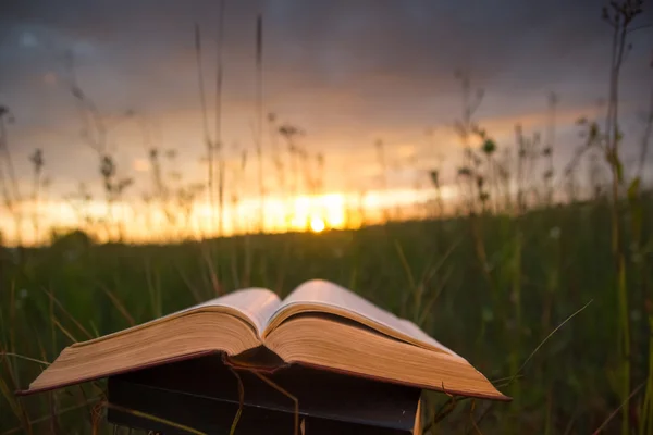 Diario de libro de tapa dura abierto con páginas ventiladas contra la puesta del sol — Foto de Stock