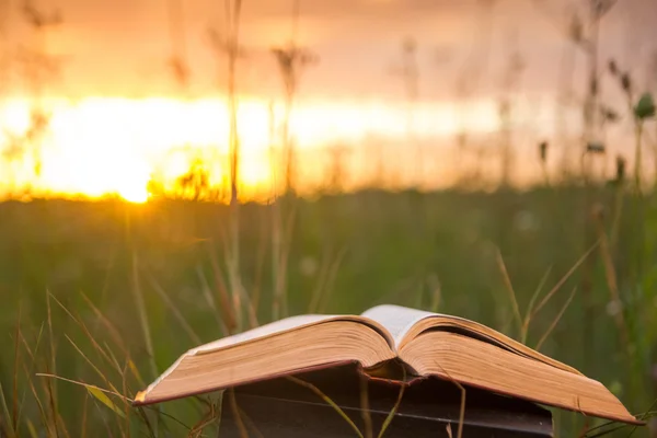 Diario de libro de tapa dura abierto con páginas ventiladas contra la puesta del sol — Foto de Stock