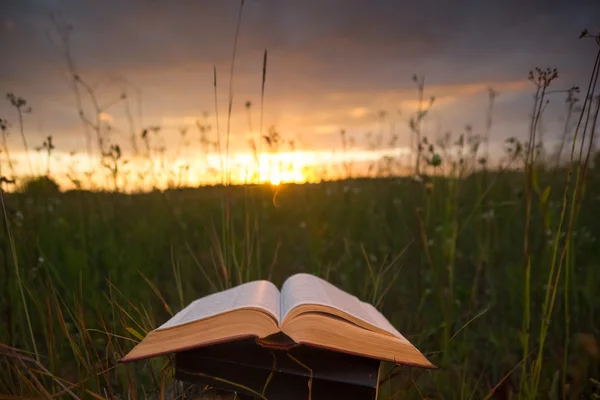 Geöffnetes gebundenes Buchtagebuch mit aufgefächerten Seiten gegen Sonnenuntergang — Stockfoto