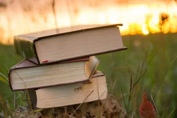 일몰에 대 한 삼진 페이지 개설된 hardback 책 일기 — 스톡 사진