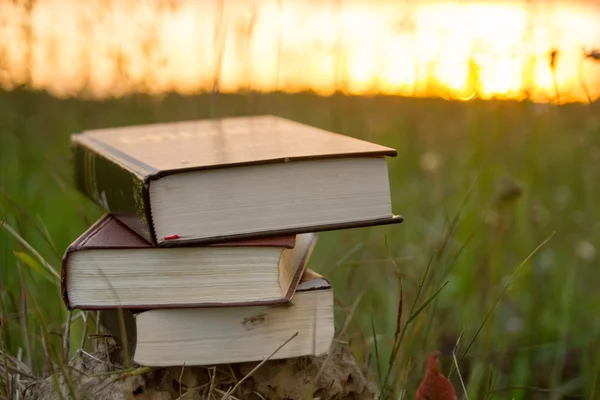 Geöffnetes gebundenes Buchtagebuch mit aufgefächerten Seiten gegen Sonnenuntergang — Stockfoto