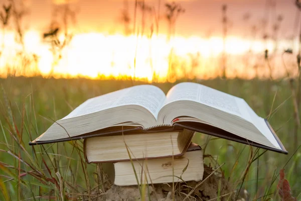 Diario de libro de tapa dura abierto con páginas ventiladas contra la puesta del sol — Foto de Stock