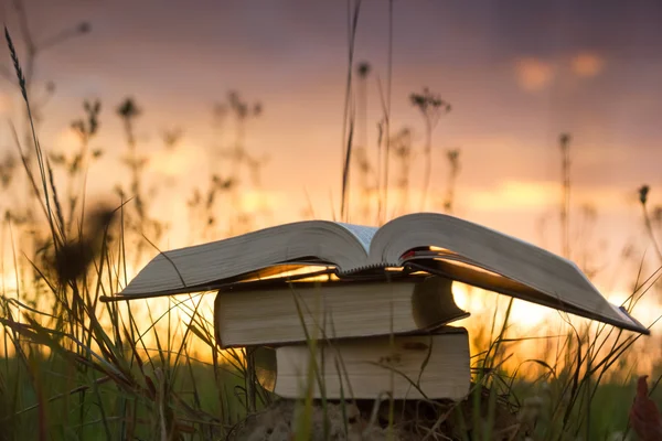 Diario de libro de tapa dura abierto con páginas ventiladas contra la puesta del sol — Foto de Stock