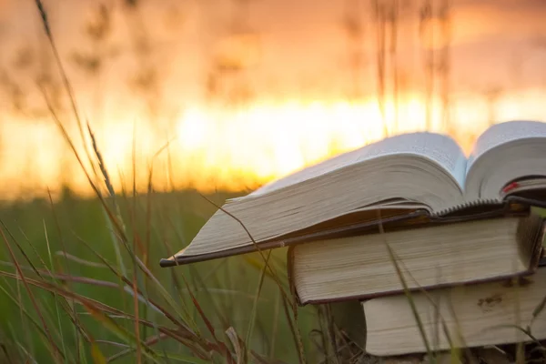 Diario de libro de tapa dura abierto con páginas ventiladas contra la puesta del sol — Foto de Stock