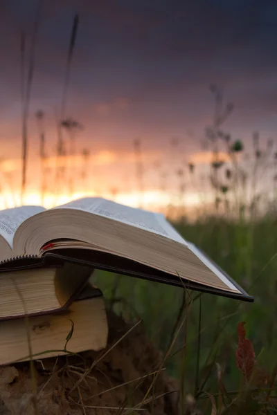 Geöffnetes gebundenes Buchtagebuch mit aufgefächerten Seiten gegen Sonnenuntergang — Stockfoto