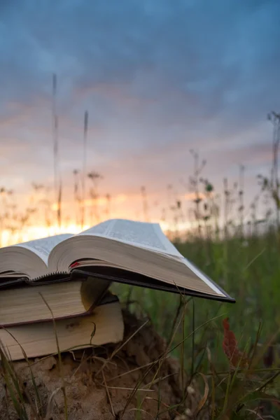 Günbatımı karşı fanlanan sayfa ciltli kitap günlüğü açtı — Stok fotoğraf