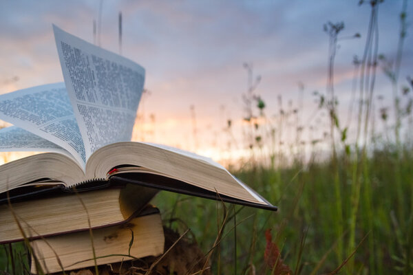 Opened hardback book diary, fanned pages on blurred nature landscape backdrop, lying in summer field on green grass against sunset sky with back light. Copy space, back to school education background.