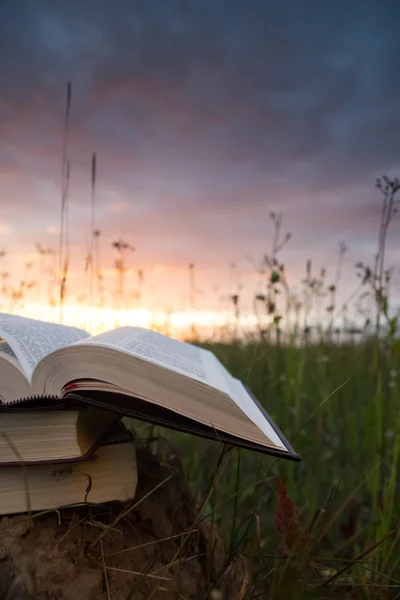 Aufgeschlagenes gebundenes Buchtagebuch über verschwommenen Naturhintergrund — Stockfoto