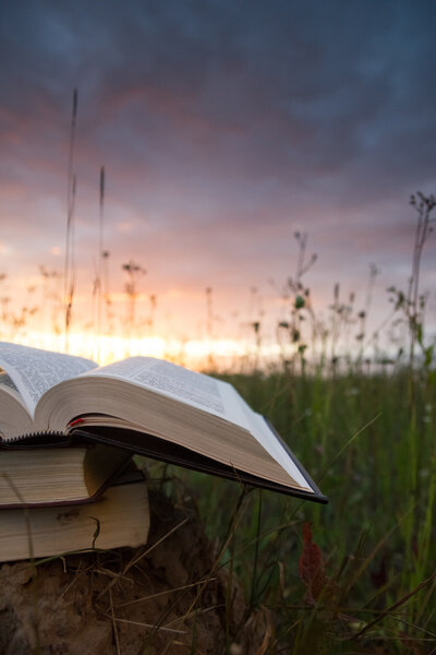 Opened hardback book diary on blurred nature background