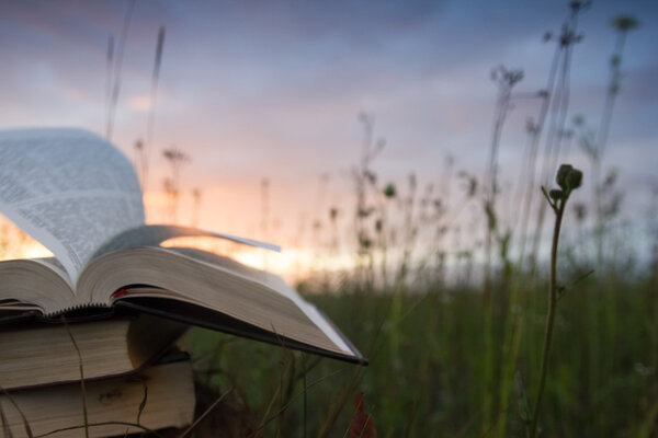 Opened hardback book diary, fanned pages on blurred nature landscape backdrop, lying in summer field on green grass against sunset sky with back light. Copy space, back to school education background.