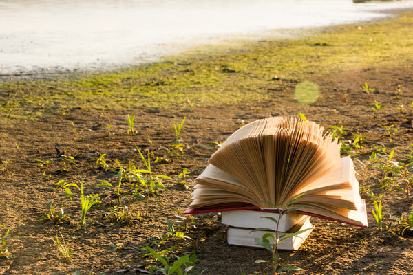 Opened hardback book diary on blurred nature background