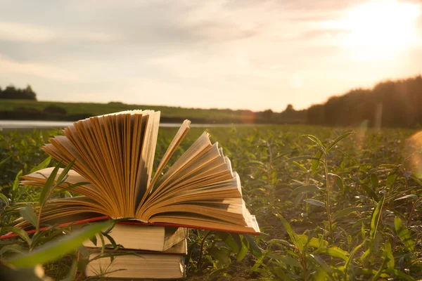 Terug naar school, geopend hardcover boek dagboek op de achtergrond wazig aard — Stockfoto