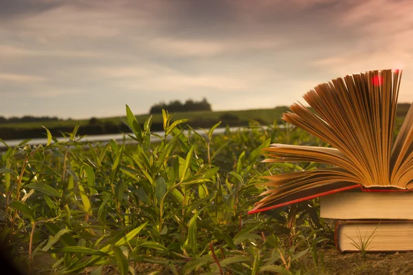 Zurück zur Schule, aufgeschlagenes gebundenes Buchtagebuch über verschwommenen Naturhintergrund — Stockfoto