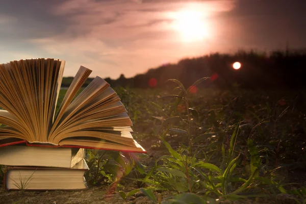 Okula dönüş, ciltli kitap günlüğü bulanık doğa arka plan üzerinde açılan — Stok fotoğraf