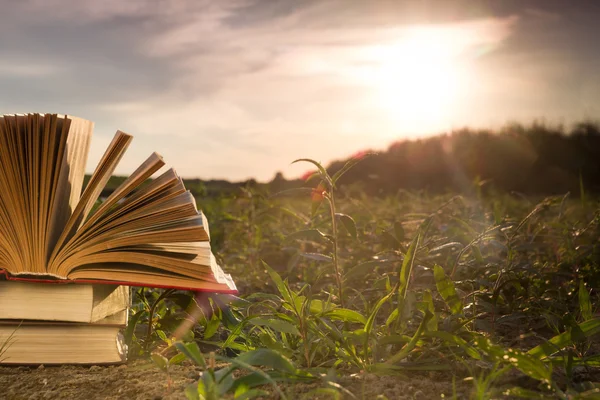 Regreso a la escuela, diario de libro de tapa dura abierto sobre fondo borroso de la naturaleza —  Fotos de Stock