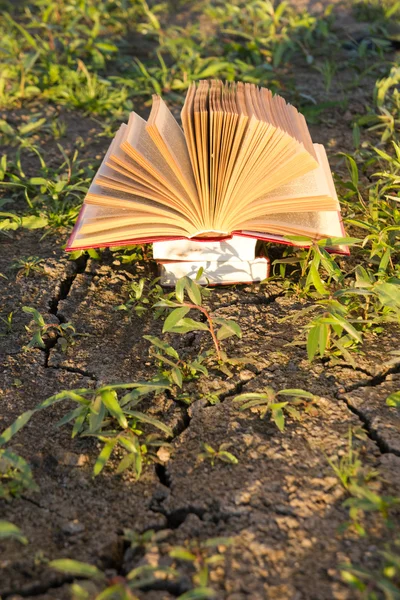 Ritorno a scuola, aperto diario libro hardback su sfondo natura offuscata — Foto Stock