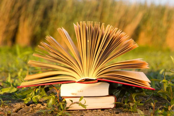 Terug naar school, geopend hardcover boek dagboek op de achtergrond wazig aard — Stockfoto