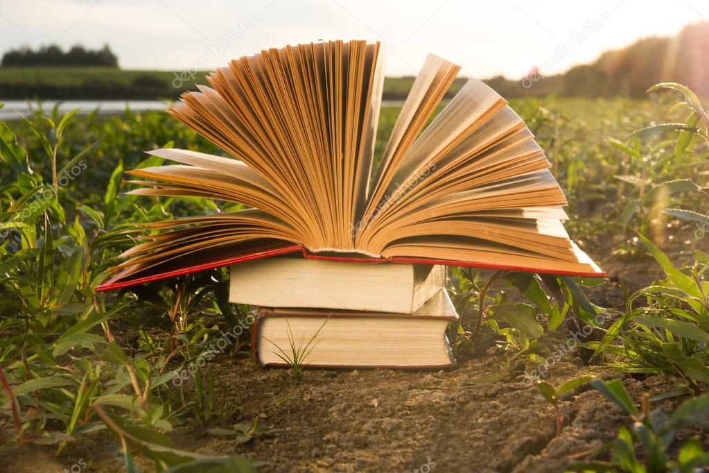 Back To School Opened Hardback Book Diary On Blurred Nature Background Stock Photo Image By C Vim Back To School Opened Hardback Book Diary On Blurred Nature Background Stock Photo Image By C Vim