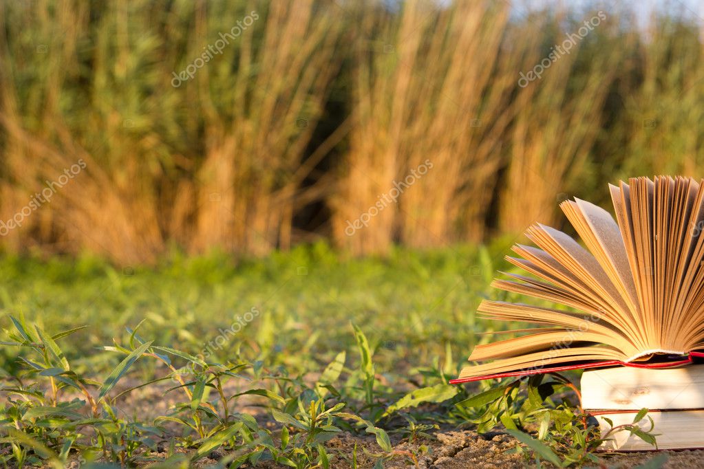 Back To School Opened Hardback Book Diary On Blurred Nature Background Stock Photo Image By C Vim Back To School Opened Hardback Book Diary On Blurred Nature Background Stock Photo Image By C Vim