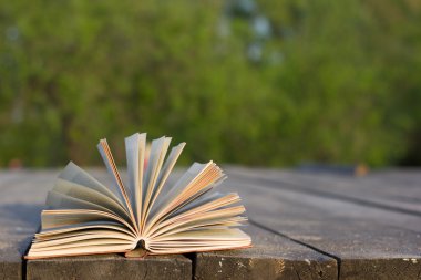 Okula dönüş. Bulanık doğa arka plan üzerine açık ciltli kitap ile fanlanan sayfa. Yaz bahar arka plan açık kitap ile. Uzay kopyalayın. Eğitim arka plan.