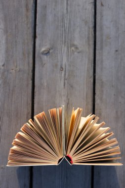 Açık ciltli kitap, fanlanan ahşap plakalar sayfalarında. Yaz bahar arka plan açık kitap ile. Okula dönüş. Uzay kopyalayın. Eğitim arka plan.