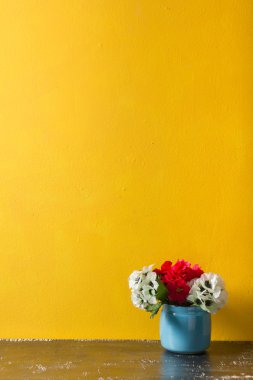 Vazoda sarı duvar arka plan üzerinde kırmızı çiçekler. Çiçekler vintage konsepti ile eski panoları