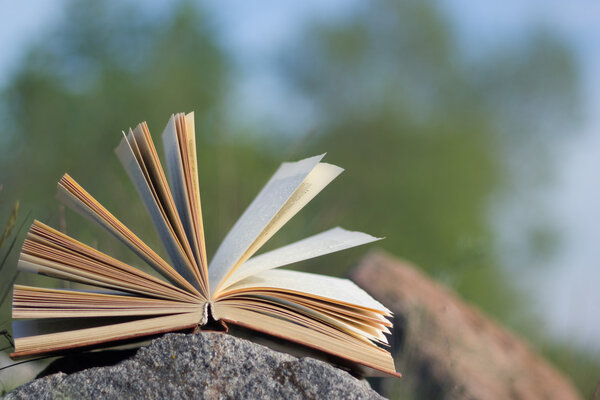 Back to school. Open hardback book with fanned pages on blurred nature background. Summer spring background with open book.  Copy Space. Education background.