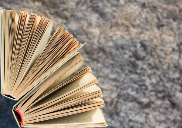 Tillbaka till skolan. Öppen inbunden bok med solfjäderformade sidor på suddiga natur bakgrund. Sommaren våren bakgrund med öppen bok. Kopiera utrymme. Utbildnings-bakgrund. — Stockfoto