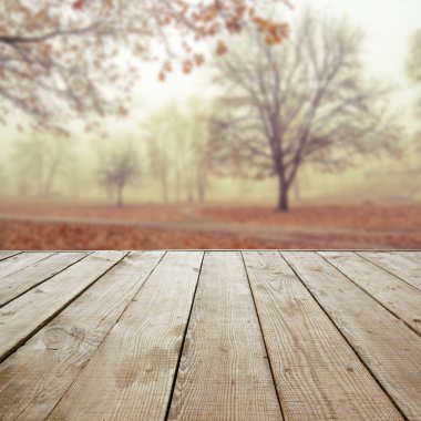 Plakalar üzerinde doğal sonbahar arka plan bulanık, ahşap perspektif zemin için görüntü'yü kullanın veya ürünleri şablonunuzu montaj. Uzay kopyalayın. Tonda vintage.