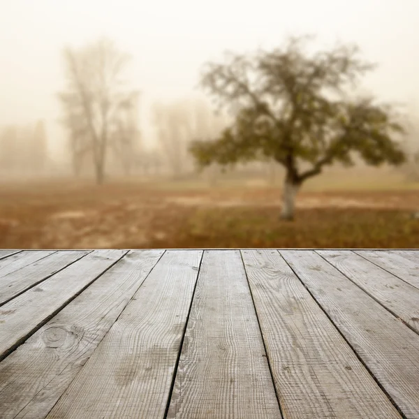 Piso de perspectiva de madera con tablones sobre fondo de otoño natural borroso, puede utilizar para mostrar o montar su plantilla de productos. Copiar espacio. Vintage tonificado . — Foto de Stock