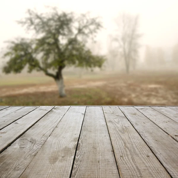 Piso de perspectiva de madera con tablones sobre fondo de otoño natural borroso, puede utilizar para mostrar o montar su plantilla de productos. Copiar espacio. Vintage tonificado . — Foto de Stock