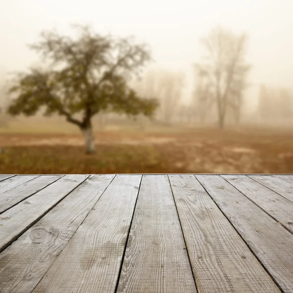 Piso de perspectiva de madera con tablones sobre fondo de otoño natural borroso, puede utilizar para mostrar o montar su plantilla de productos. Copiar espacio. Vintage tonificado . — Foto de Stock