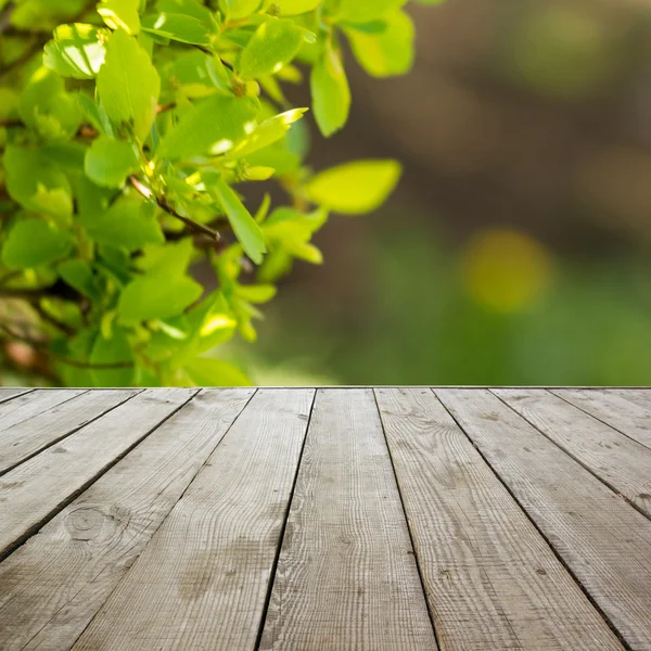 Perspektywa drewniane podłogi z desek na lato naturalny niewyraźne b — Zdjęcie stockowe