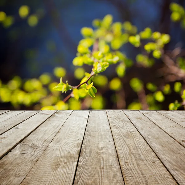 Wooden perspective floor with planks on blurred summer background. — Stock Photo, Image