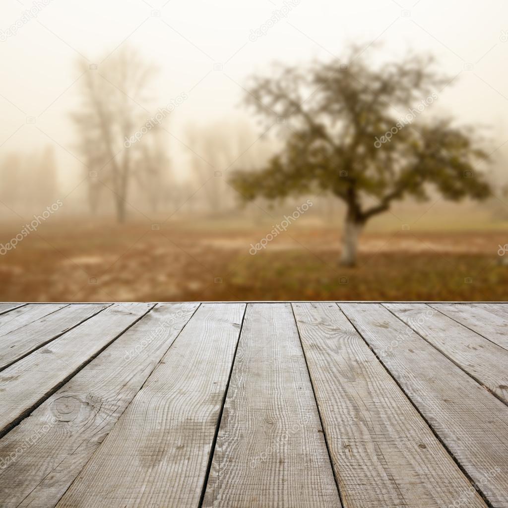 Wooden perspective floor with planks on blurred natural autumn background, can use for display or montage your products template. Copy space. Vintage toned.