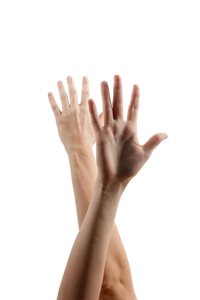 People's hands up isolated on white background. Many people's hands up isolated on white background. Various hands lifted up in the air. Clipping path. Copy space.arious han — Stok fotoğraf