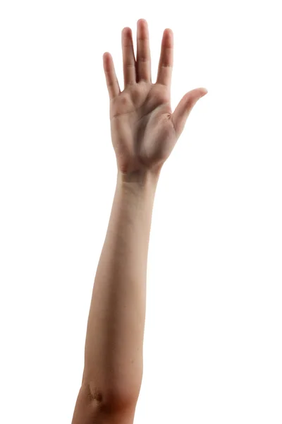 Mani in alto isolate su sfondo bianco. Molte persone con le mani in alto isolate su sfondo bianco. Varie mani sollevate in aria. Percorso di ritaglio. Copia spazio.arious han — Foto Stock
