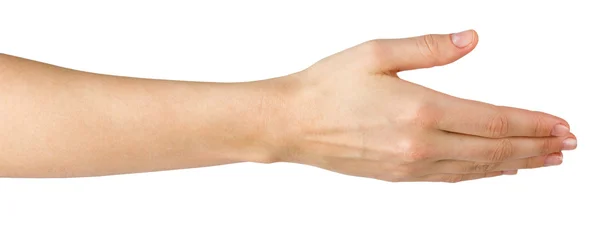 Női kéz kínál kézfogás elszigetelt fehér background, másol hely, nyírás pass. Közelkép kép nő reszkető kézzel. — Stock Fotó