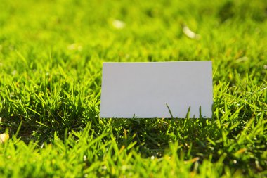 Arka plan üzerinde beyaz kartvizit tutan el