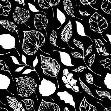 Yaprakların kusursuz deseni