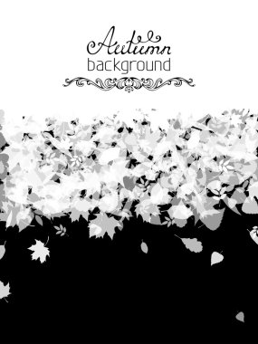 Black and white vector nature background. vector
