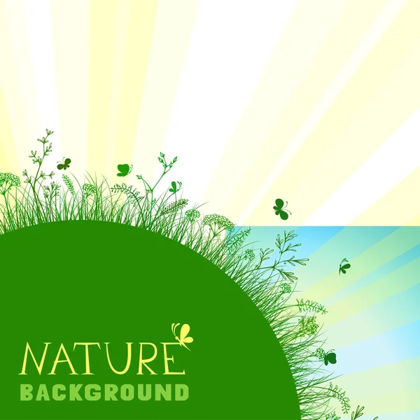 Fondo de naturaleza — Vector de stock